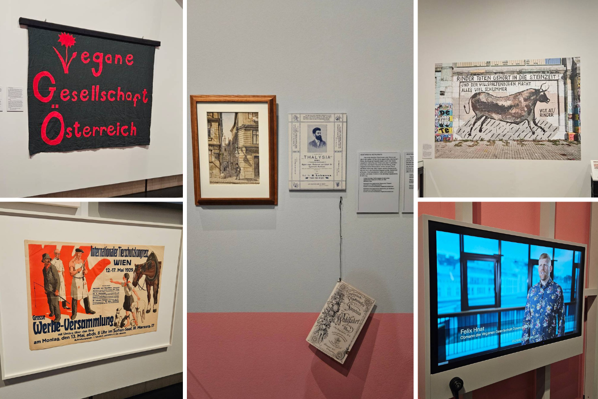 Transparent aus den Anfängen der Veganen Gesellschaft, ein Graffito des Vereins Gegen Tierfabriken, das Menü des frühen vegetarischen Restaurants Thalysia, ein Plakat des Internationalen Tierschutzkongresses 1929 und Felix Hnat im Videointerview