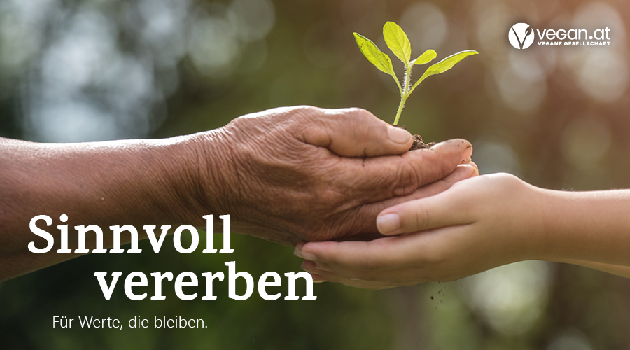 Eine alte und eine junge hand die gemeinsam ein aufkeimendes pflänzchen halten