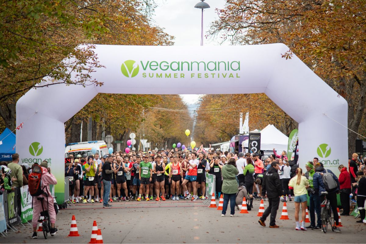 Läufer:innen am Start der Hauptbewerbe auf der Prater Hauptallee unter dem großen Torbogen.
