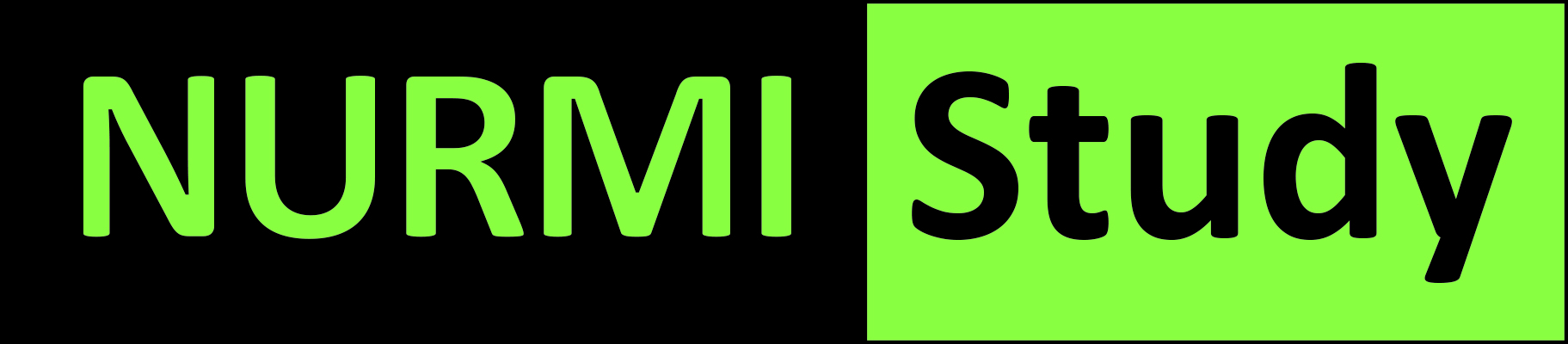 NURMI-Logo NURMI-Logo