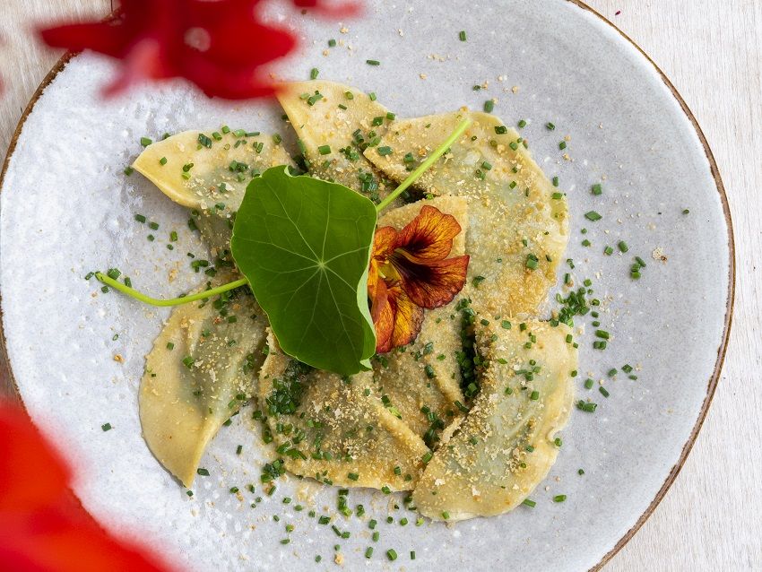 Südtiroler Schlutzkrapfen | Vegane Gesellschaft Österreich