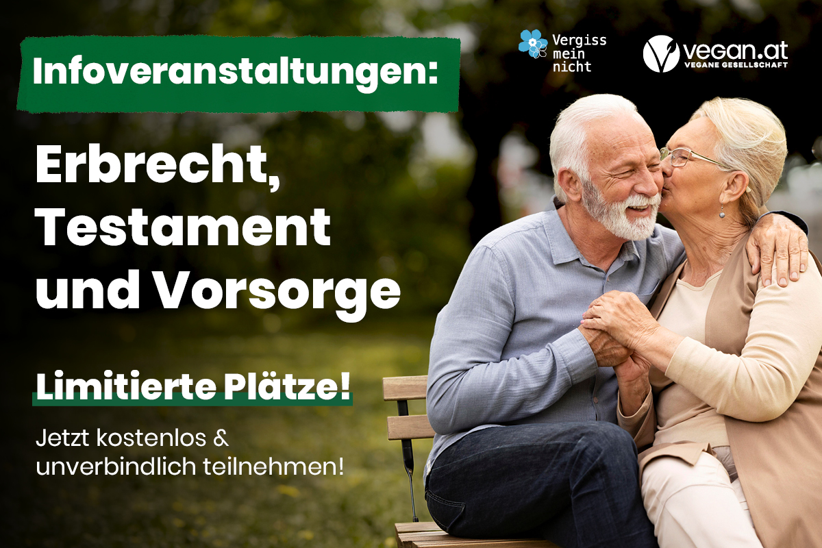 alte menschen umarmen sich